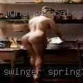 Swinger Springtown